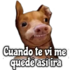 Cuando te vi me
quedé así ira
1