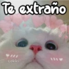 Te extraño
cokki
****