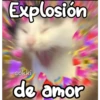 Explosión
cokki
de amor
