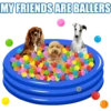 MY FRIENDS ARE BALLERS
