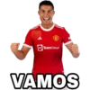 adidas
TeamViewe
JAC
VAMOS