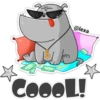 ‍ Gray Dog 7