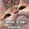 X
cokki
Vamos a ser
novios