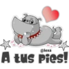 ‍ Gray Dog 12