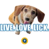 LIVE LOVE LICK.
P