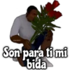 @rose stickers!
Son para ti mi
bida