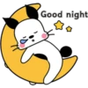 Good night