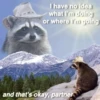Being Raccoon Ep.2 7