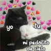 yo
cokki
tu
mi pedacito
de cielo