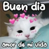 Buen dia
cokki
amor de mi vida