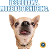 LESS DRAMA.
MORE BUTTSNIFFING.
P