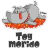 ‍ Gray Dog 13