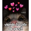 cokki
viendo tu foto
de perfil