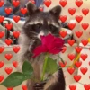 Being Raccoon Ep.1 7