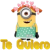 MiNiOnS 10