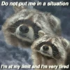 Being Raccoon Ep.1 8