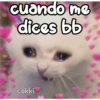 cuando me
dices bb
cokki