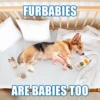 FURBABIES
ARE BABIES TOO