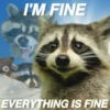 Being Raccoon Ep.1 11