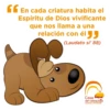 Día Mundial del perro 8