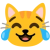😺❤️Cat Emojis😺 18