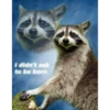 Being Raccoon Ep.1 13