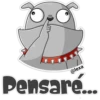 ‍ Gray Dog 20