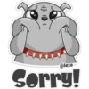 ‍ Gray Dog 21