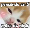 pensando en ti
cokki
antes de minir
