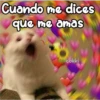 Cuando me dices
que me amas
cokki