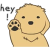 hey