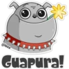 ‍ Gray Dog 24