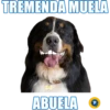 TREMENDA MUELA
ABUELA
P