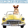 DAME MAS GASOLINA
20