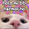 hola mi bb
hermocho
cokki