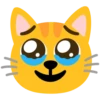 😺❤️Cat Emojis😺 22