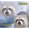Being Raccoon Ep.1 15