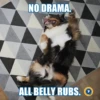 NO DRAMA.
ALL BELLY RUBS. Q
P