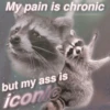 Being Raccoon Ep.1 16