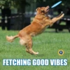 FETCHING GOOD VIBES