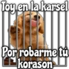 Toy en la karsel
@rosesliches!
Por robarme tú
korason
