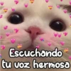 cokki
Escuchando
tu voz hermosa
