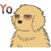 Yo