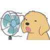 Golden Retriever Puppy 4 26