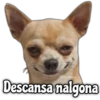 @rose stickers!
Descansa nalgona