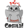 ‍ Gray Dog 30