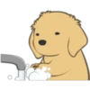 Golden Retriever Puppy 4 28