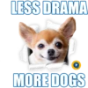 LESS DRAMA
P
MORE DOGS