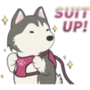 ♫
SUIT
UP!