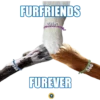 999
FURFRIENDS
FUREVER
CONDIDA
990